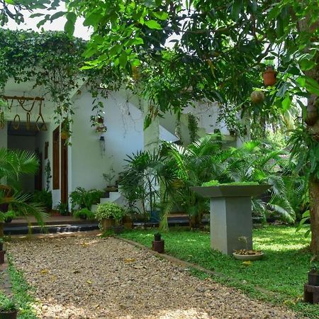 Menara Green Inn Dambulla Buitenkant foto