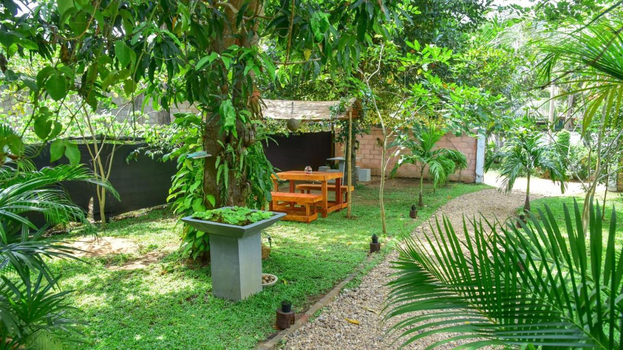 Menara Green Inn Dambulla Buitenkant foto