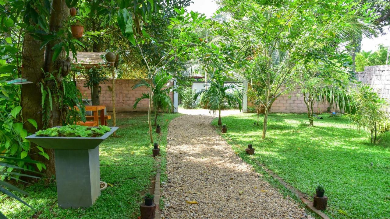 Menara Green Inn Dambulla Buitenkant foto