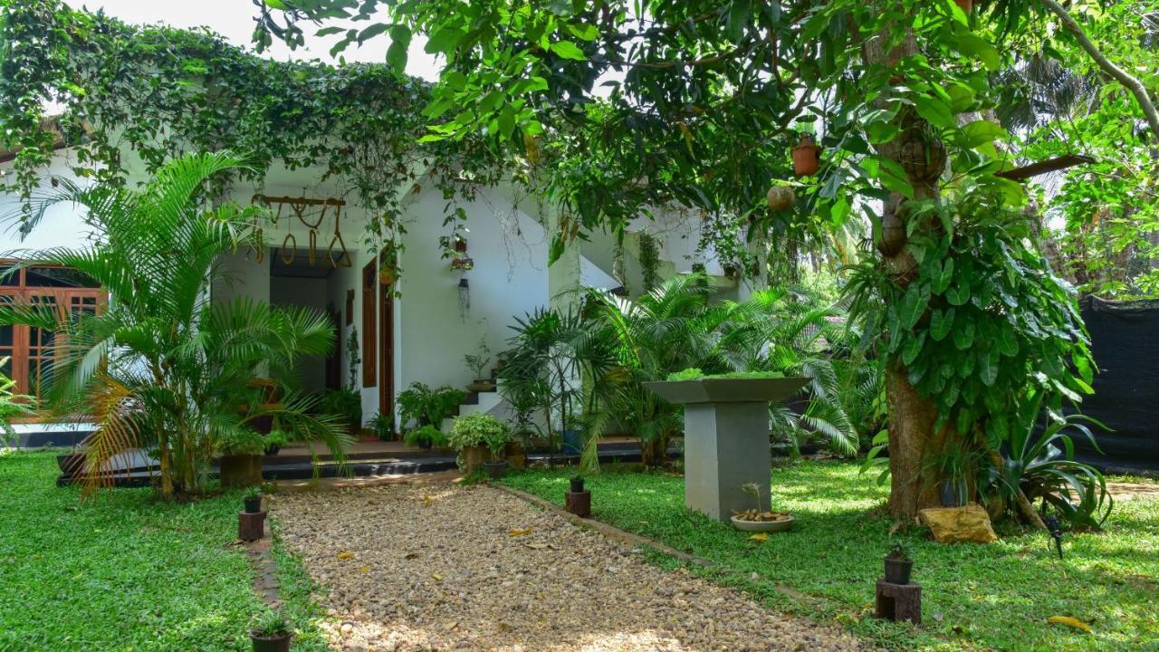 Menara Green Inn Dambulla Buitenkant foto