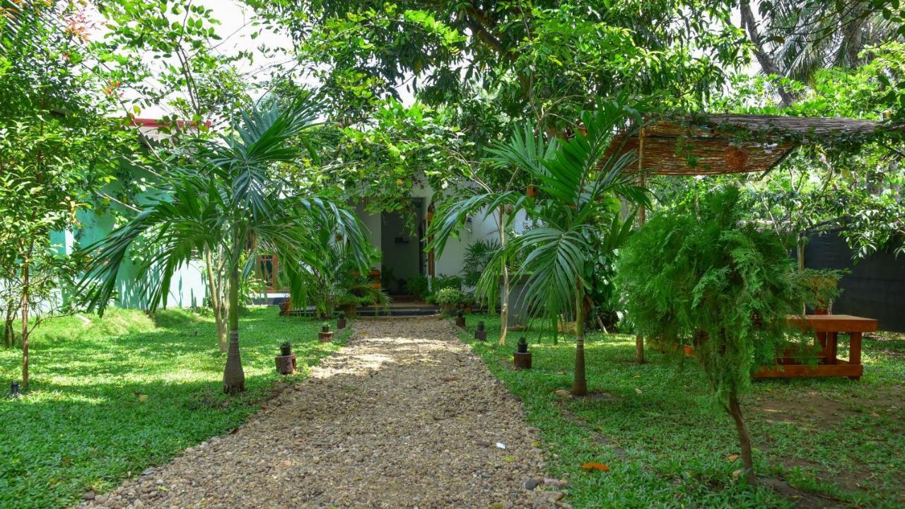 Menara Green Inn Dambulla Buitenkant foto