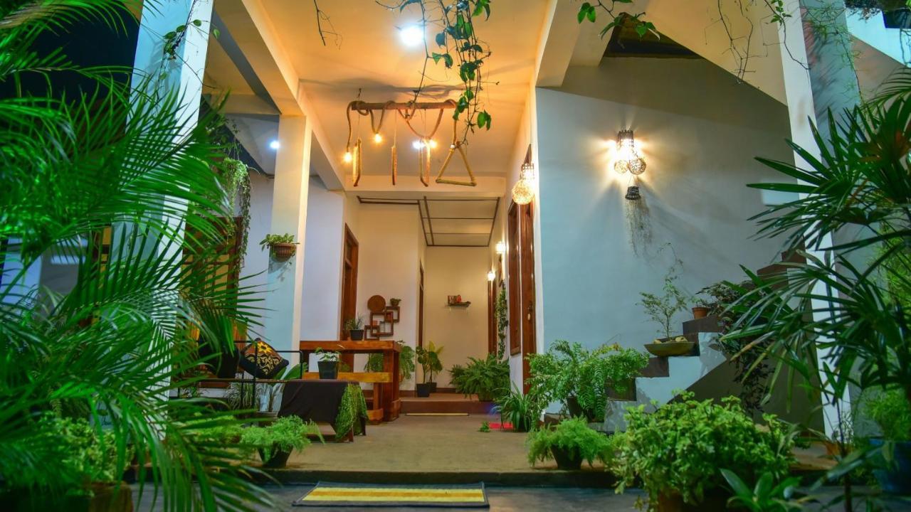 Menara Green Inn Dambulla Buitenkant foto