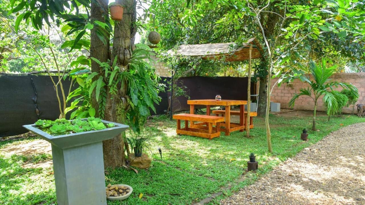 Menara Green Inn Dambulla Buitenkant foto